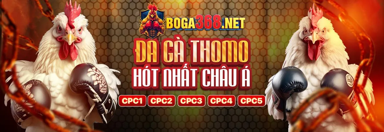 Đá Gà Trực Tiếp vin55 nhà cái