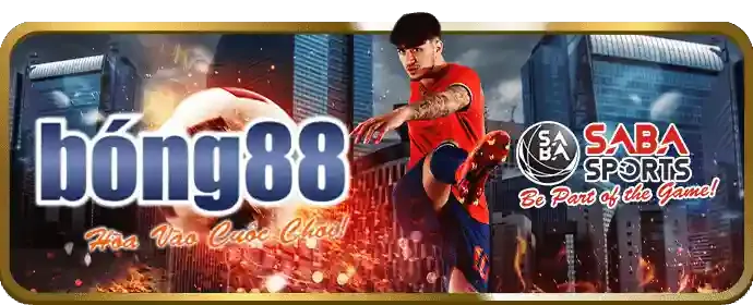 Cá cược thể thao vin55 nhà cái với các giải đấu lớn
