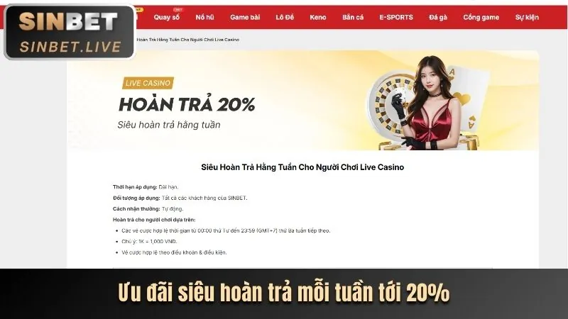 Tiền thưởng nạp lại hàng ngày/tuần vin55 nhà cái